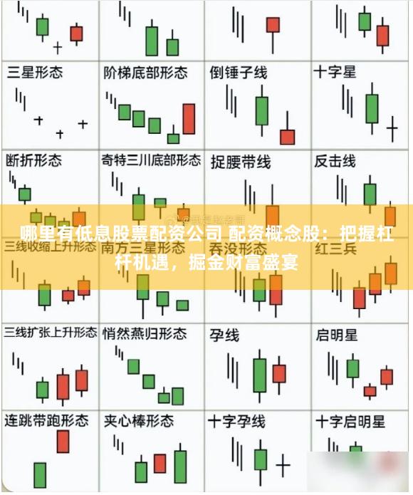 哪里有低息股票配资公司 配资概念股：把握杠杆机遇，掘金财富盛宴